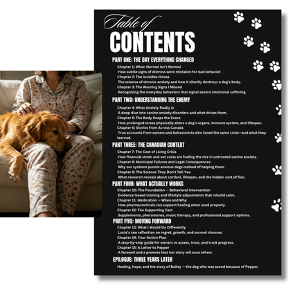 The Silent Thief — The Hidden Impact of Anxiety on Dogs